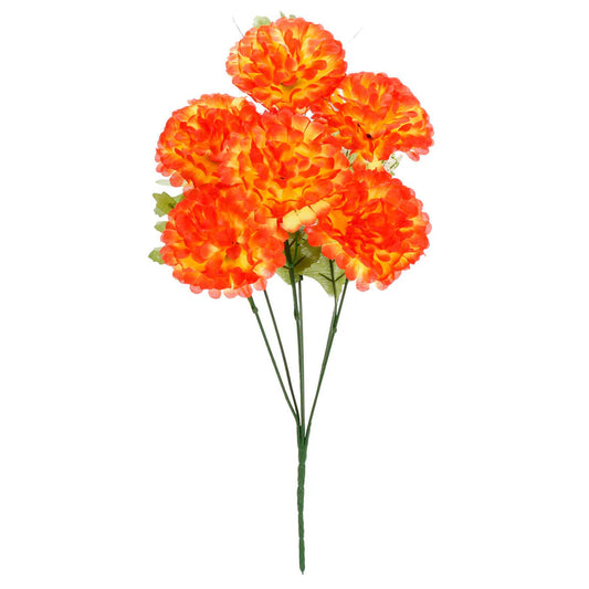 RAMO DE 6 CEMPASUCHIL 1532