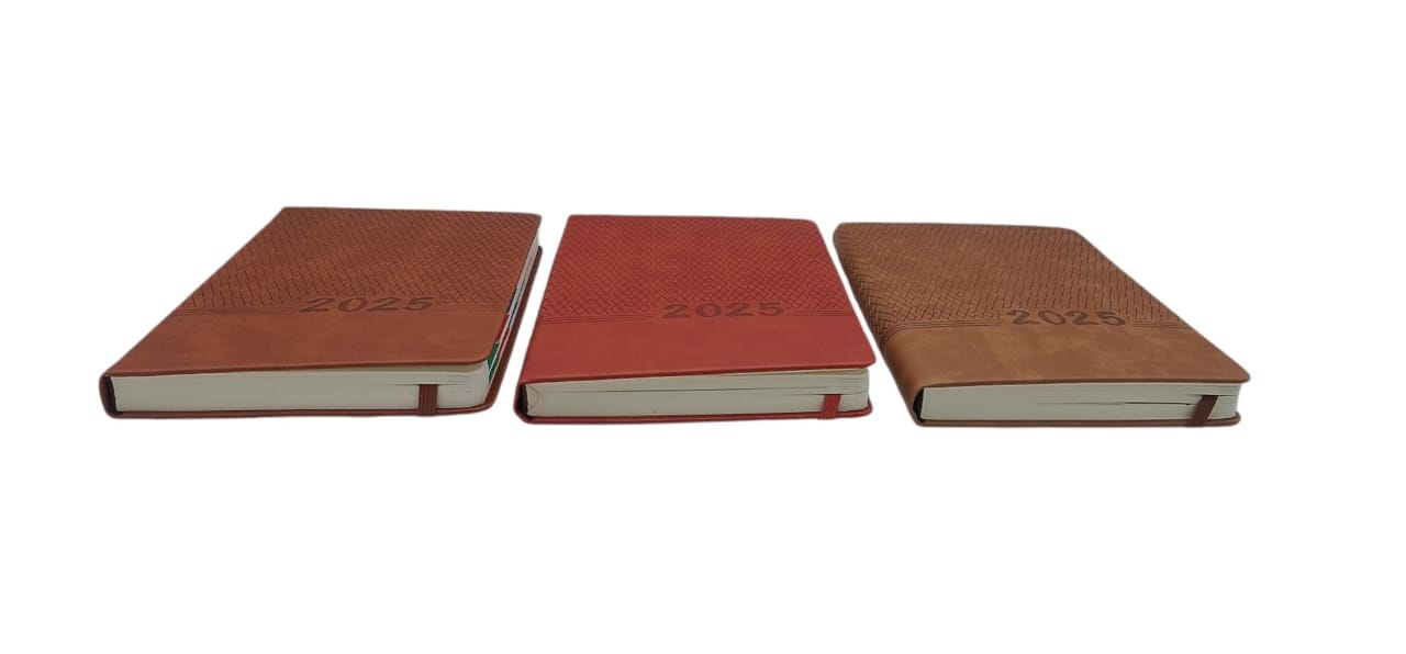 AGENDAS 2025 GZ-8580