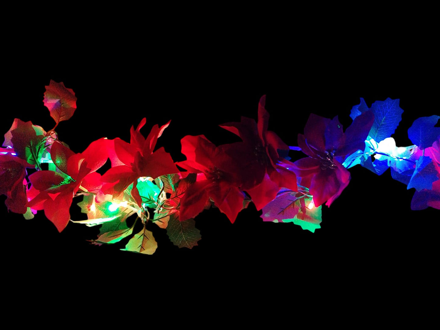 SERIE DE NOCHEBUENA CON LUZ LED´S