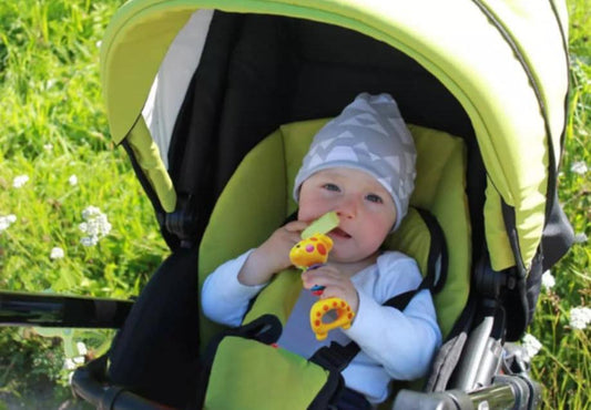 SONAJA JIRAFA AHJ-0398