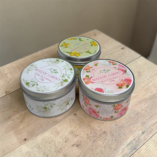 VELA V/AROMAS GM1031-2A-4