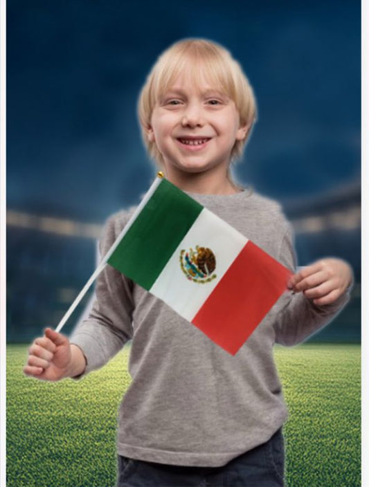 BANDERA MEXICO 20x28CM PT12660