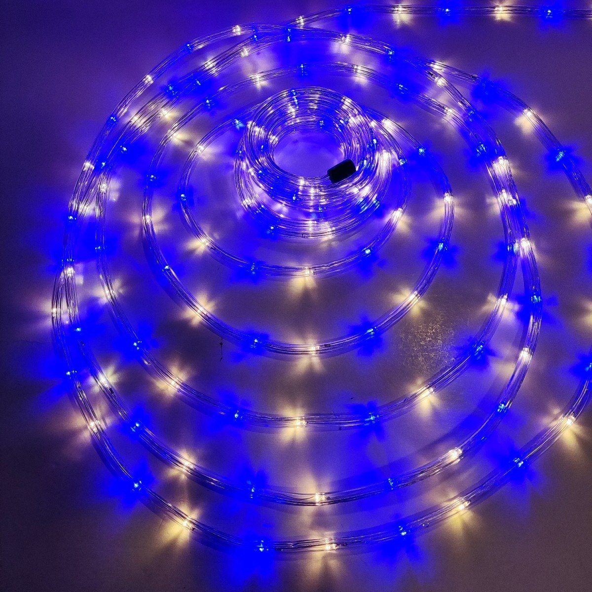 Manguera luminosa leds mágica de 10 metros.