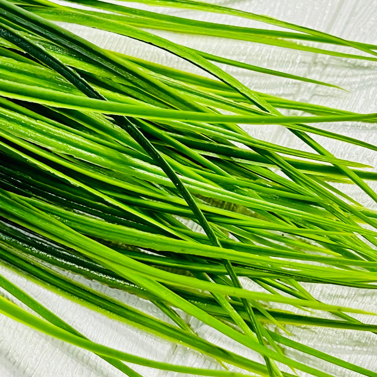 FOLLAJE ARTIFICIAL GZ-5239