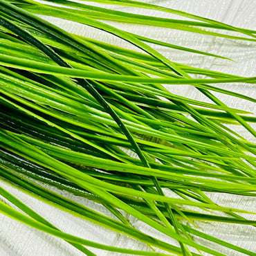 FOLLAJE ARTIFICIAL GZ-5239