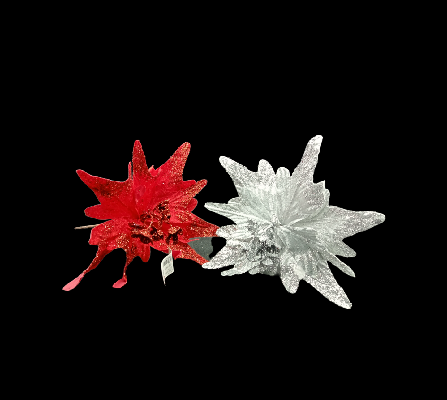 FLOR NOCHE BUENA PUNTEAGUDA GZ-5139