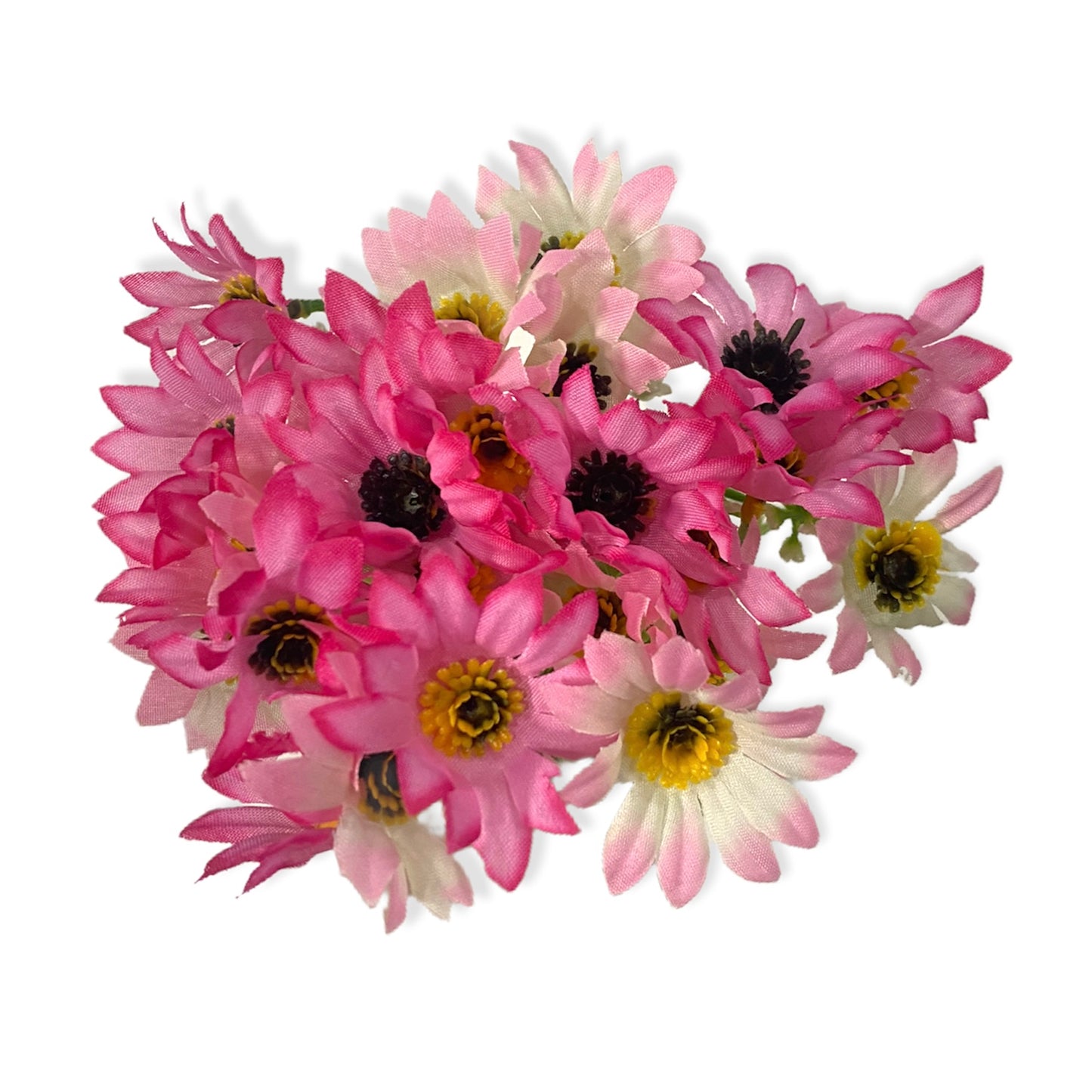 Ramo de margarita pistilo bicolor