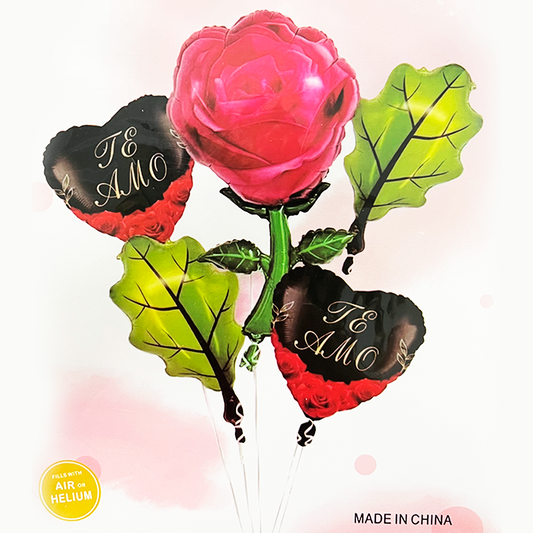 SET GLOBO ROSA 5 PZAS GZ-4532