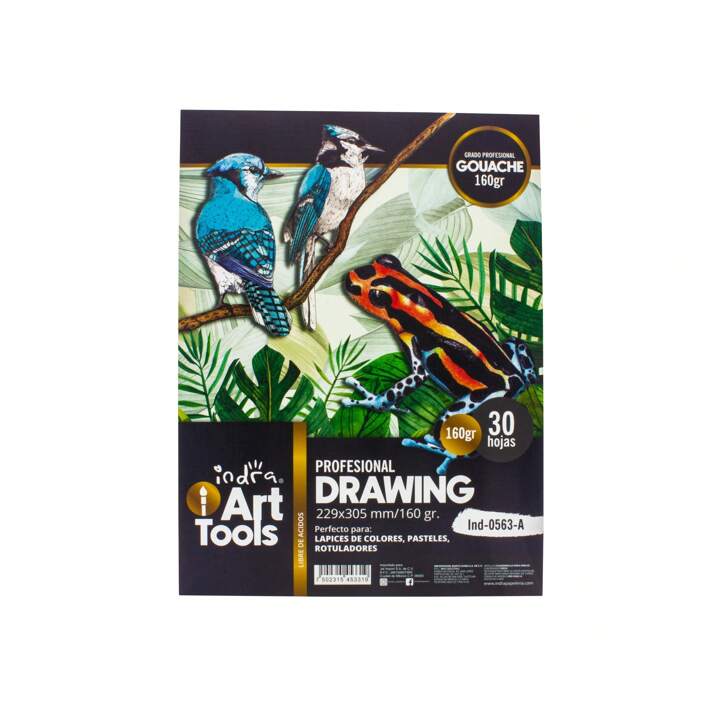 BLOCKS DE ARTE - ART TOOLS  229X305  INDRA