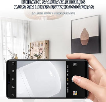 FOCO LED MLBP