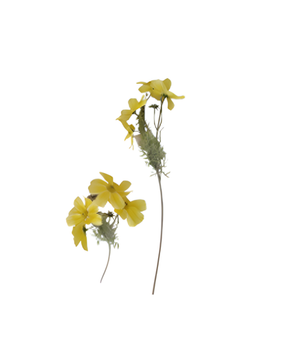 VARA CON 4 FLORES GM569-1H-10