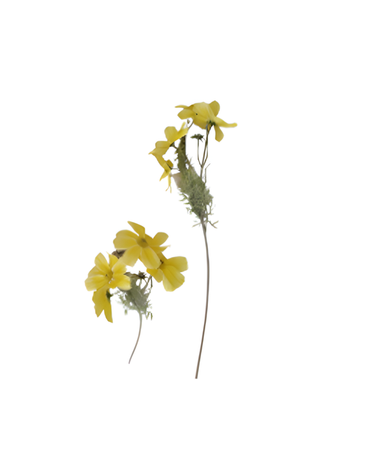 VARA CON 4 FLORES GM569-1H-10