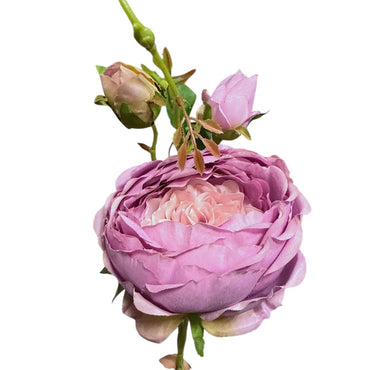 VARA CON 2 ROSAS 1 BOTON GM569-1H-5