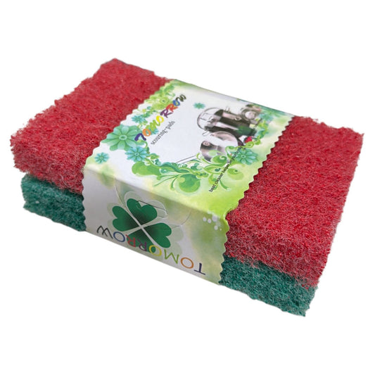 FIBRA ESPONJA 2PZAS GM1339-1H-17