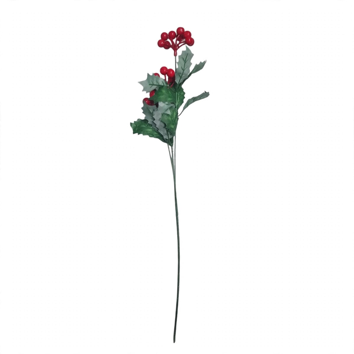 ROSA GM654-6A-9
