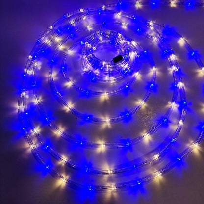 Manguera luminosa leds mágica  de 10 metros.