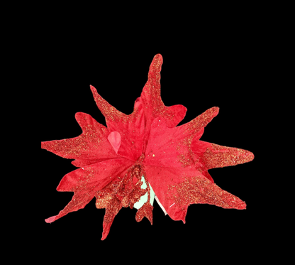 FLOR NOCHE BUENA PUNTEAGUDA GZ-5139