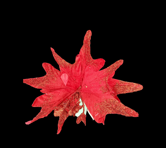 FLOR NOCHE BUENA PUNTEAGUDA GZ-5139